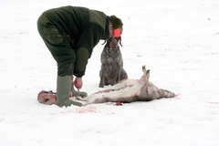 Killikus&reg; Fotographie